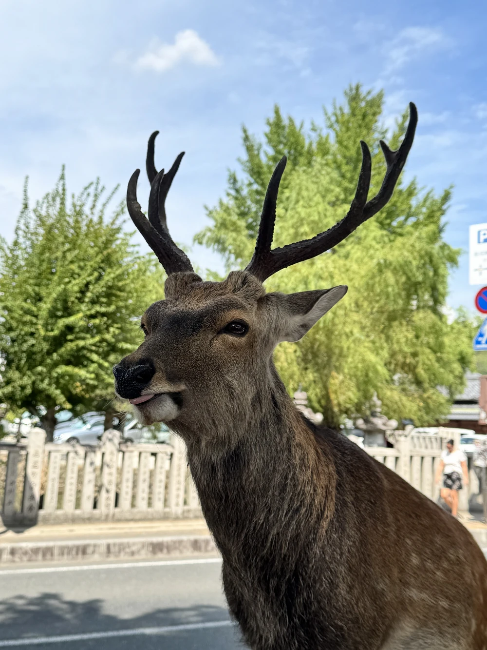 旅行者レビュー写真